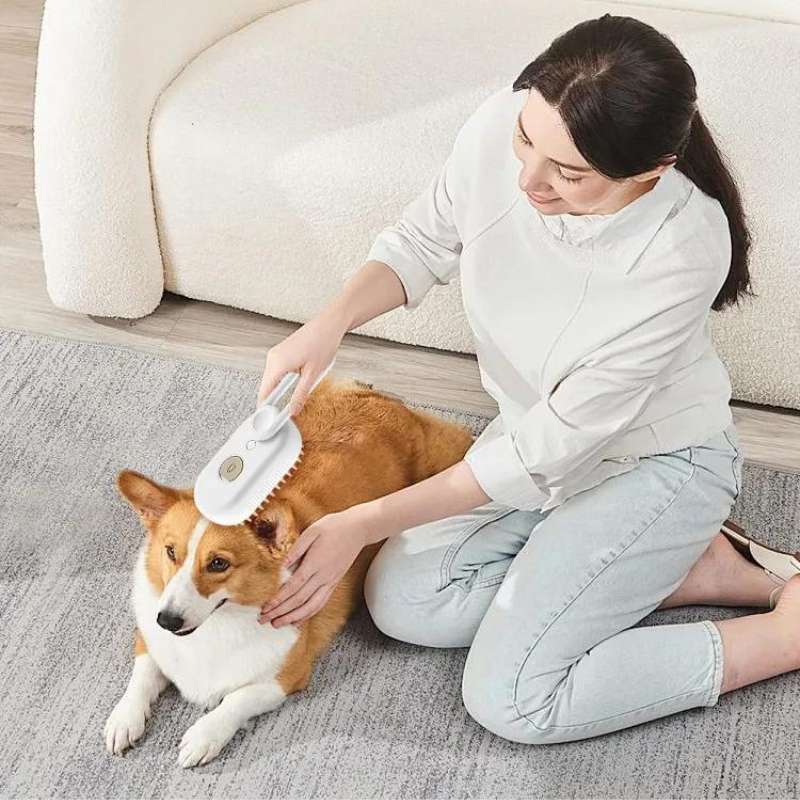 Elektrische Sprühnebel-Bürste