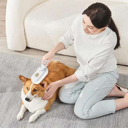 Elektrische Sprühnebel-Bürste