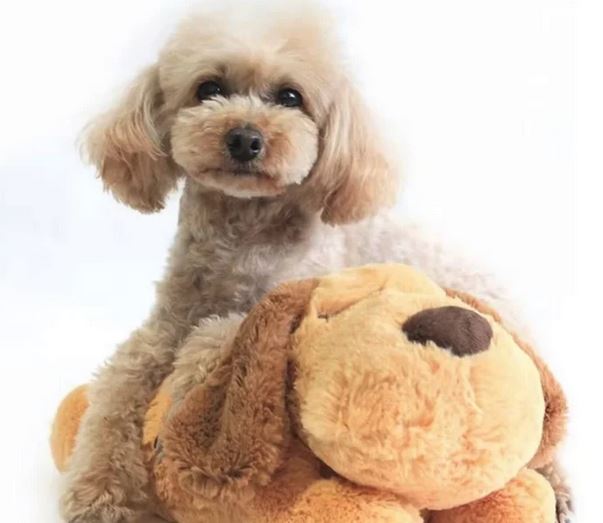 Hunde Baby Nela -  Beruhigungs-Plüschtier für Haustiere mit Herzschlag