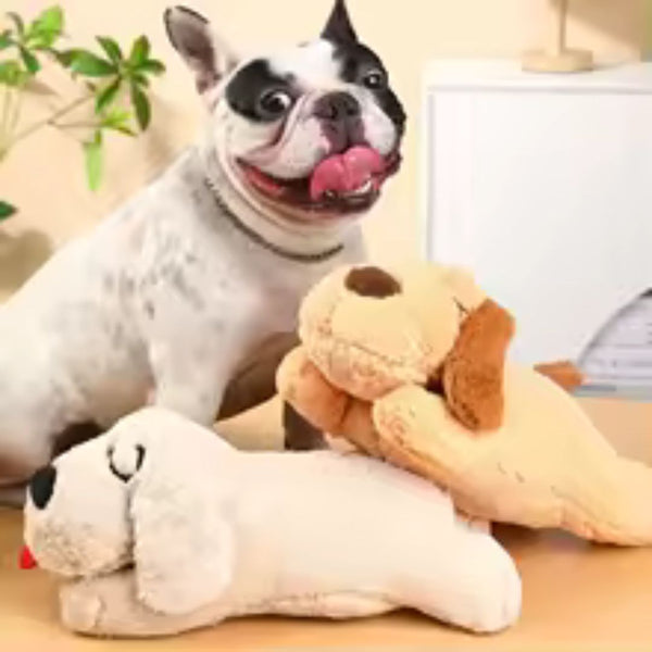 Herzschlag-Beruhigungsbox für Haustiere