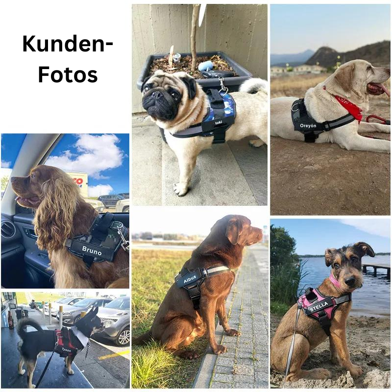 Personalisiertes Anti-Zieh-Geschirr