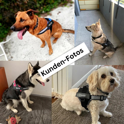 Personalisiertes Anti-Zieh-Geschirr