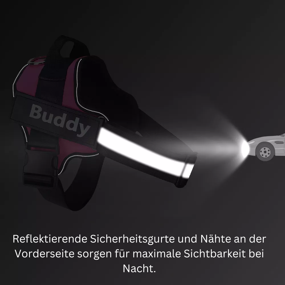 Personalisiertes Anti-Zieh-Geschirr