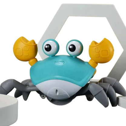 Tanzende Krabbe - Interaktives Hundespielzeug