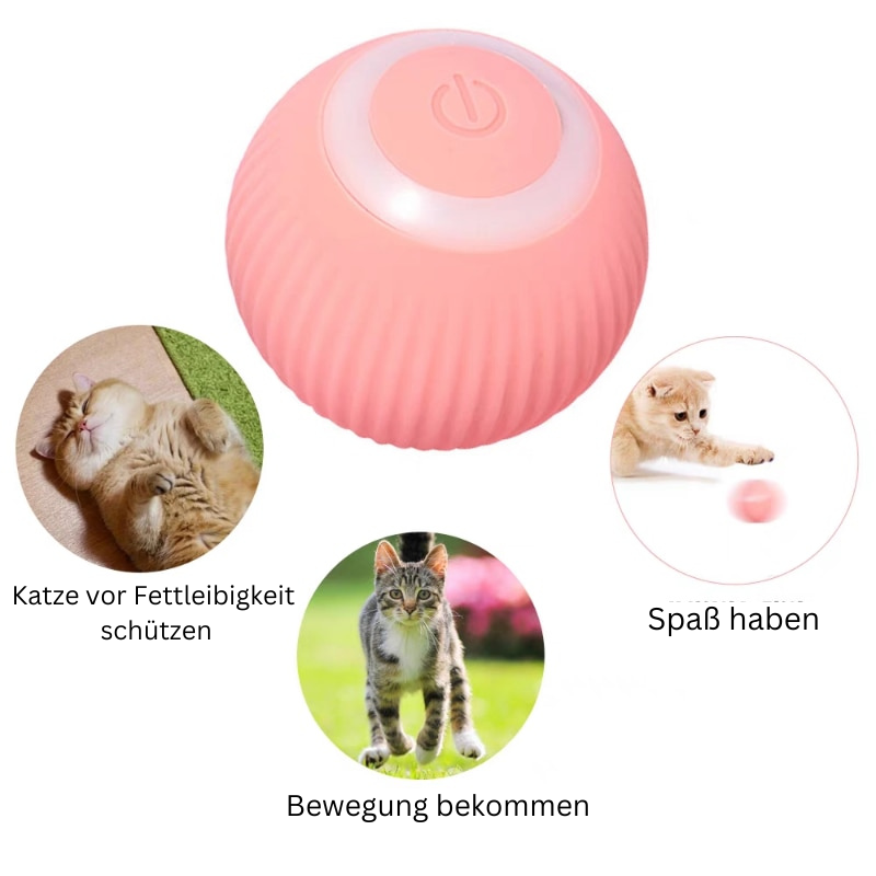Selbstrollender Katzen-Spielball