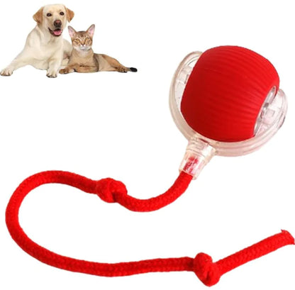 Automatisch rollender Ball für Haustiere