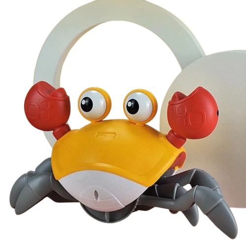 Tanzende Krabbe - Interaktives Hundespielzeug