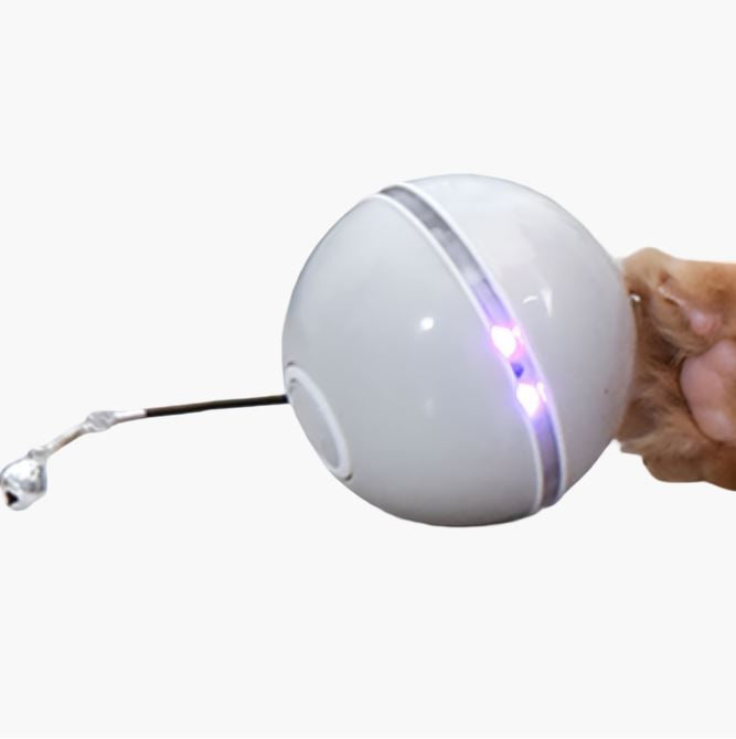 Interaktiver Spielball für Katzen