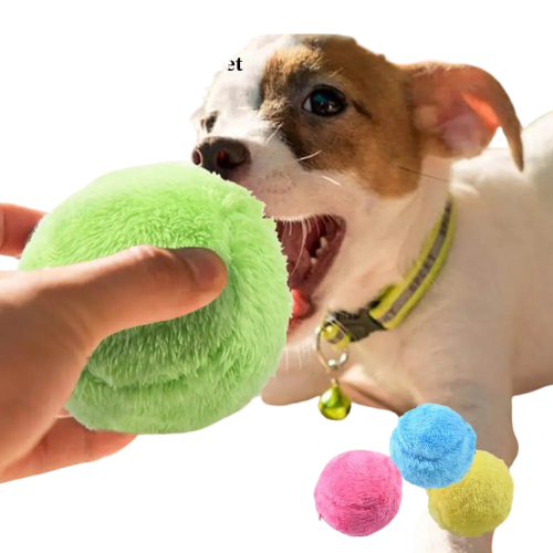 Automatisch Rollender Ball für Hunde