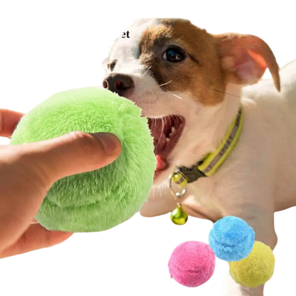 Automatisch Rollender Ball für Hunde
