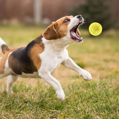 Automatisch Rollender Ball für Hunde