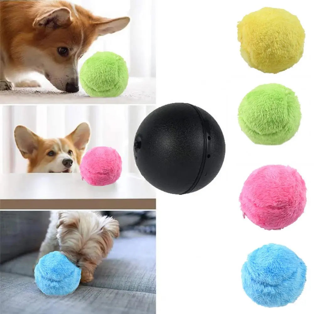 Automatisch Rollender Ball für Hunde
