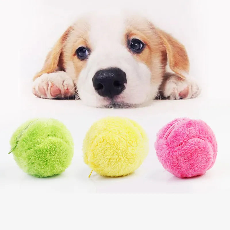 Automatisch Rollender Ball für Hunde