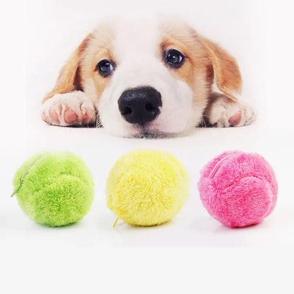 Automatisch Rollender Ball für Hunde