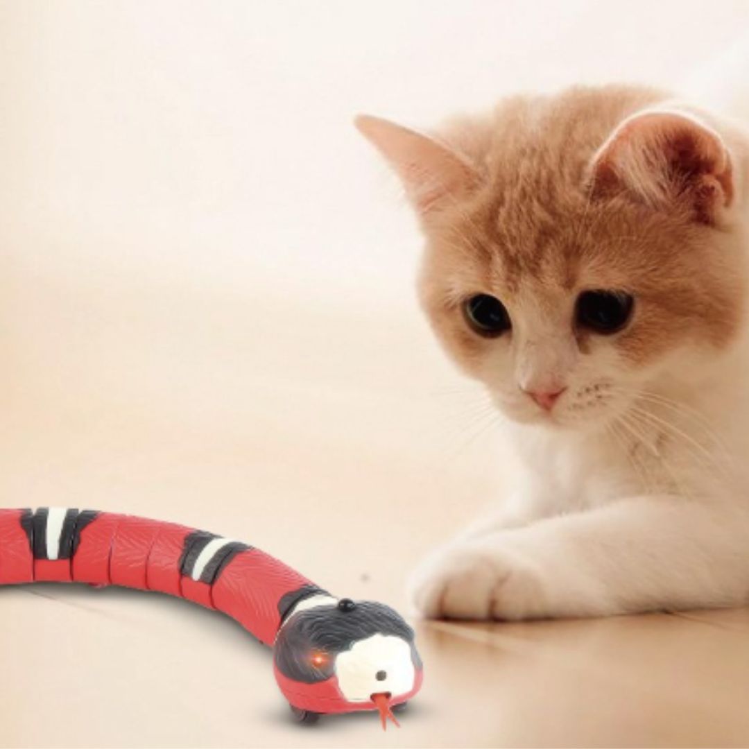 SlitherToy™ - Smartes Schlangenspielzeug für Katzen