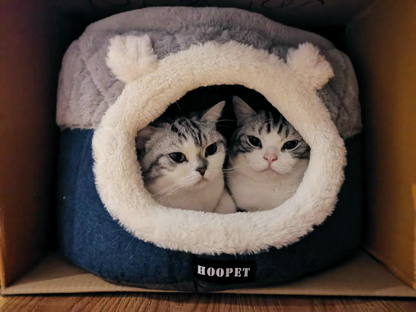 Katzenbett in Höhlenform