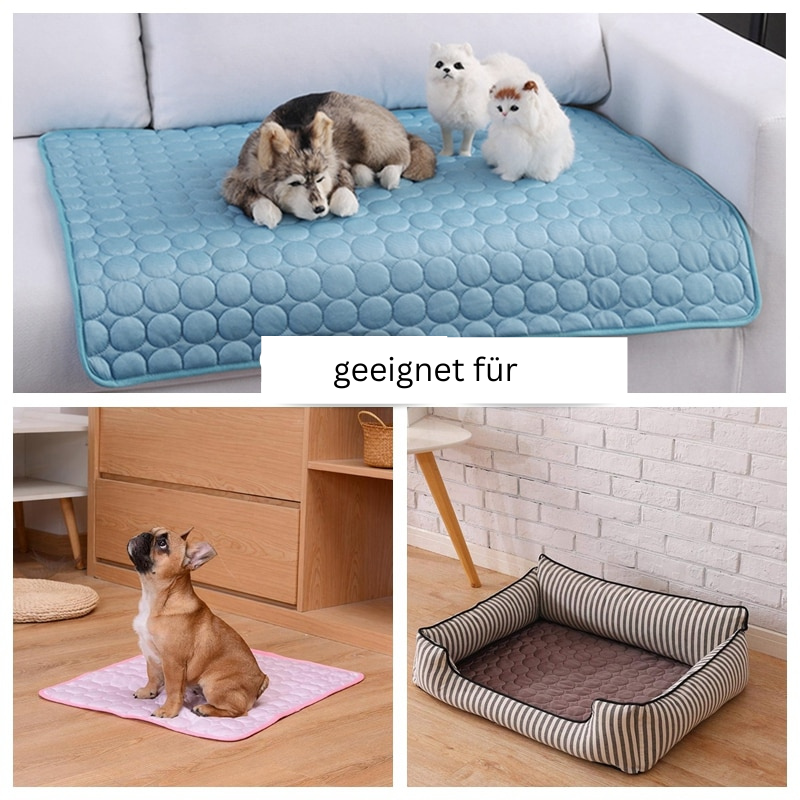Kühlende Haustier-Matte für heiße Tage