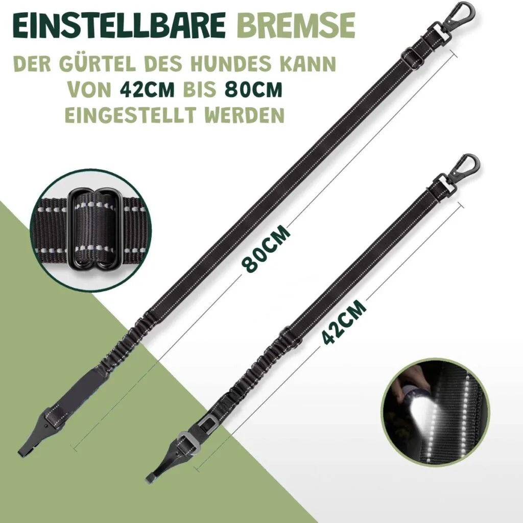 Premium Auto-Sicherheitsgurt für Hunde