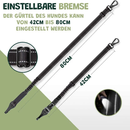 Premium Auto-Sicherheitsgurt für Hunde