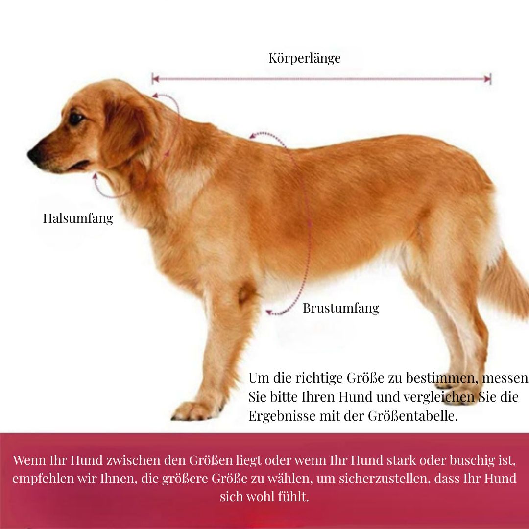 Reflektierender Regenmantel für Hunde