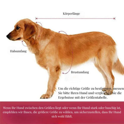 Reflektierender Regenmantel für Hunde