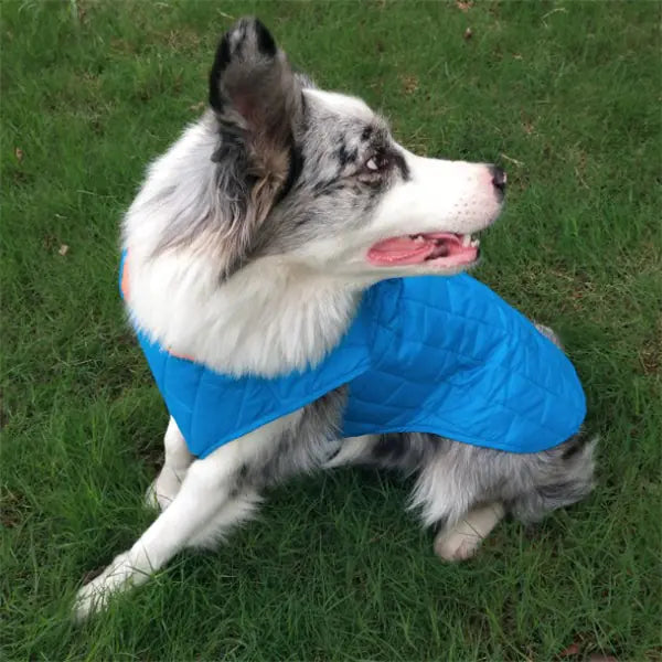 Warme wasserdichte Hundejacke für kalte Tage