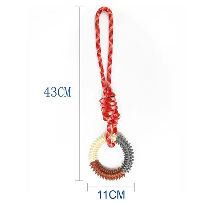 Hunde-Beißspielzeug - Seil mit Ring