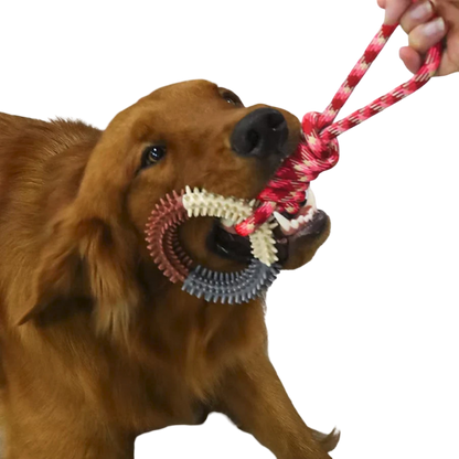 Hunde-Beißspielzeug - Seil mit Ring