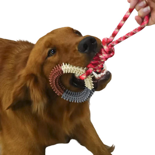 Hunde-Beißspielzeug - Seil mit Ring