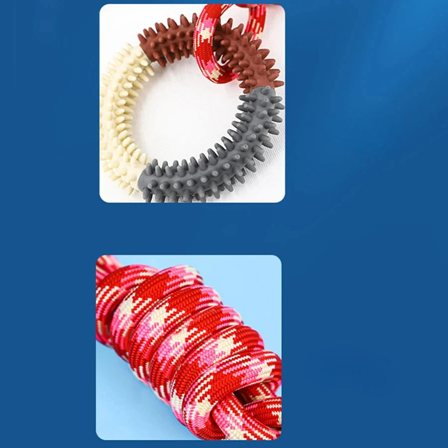 Hunde-Beißspielzeug - Seil mit Ring