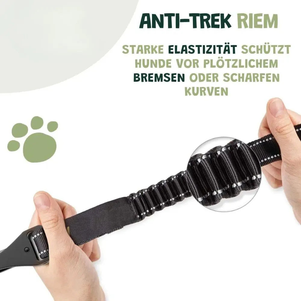 Premium Auto-Sicherheitsgurt für Hunde