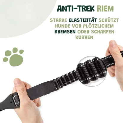 Premium Auto-Sicherheitsgurt für Hunde